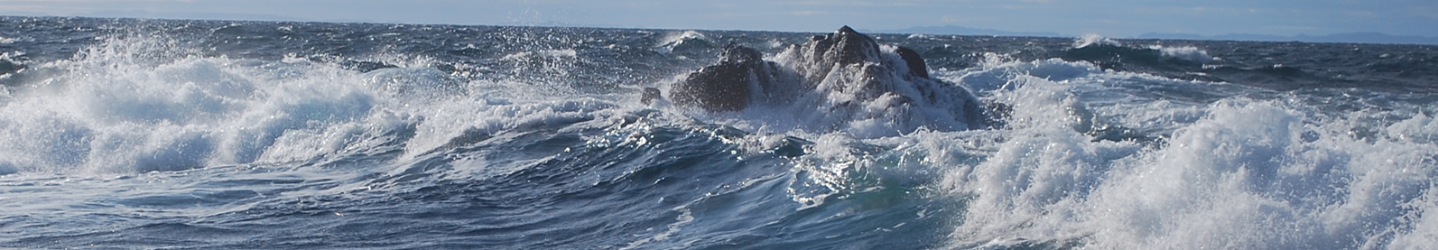 wave
